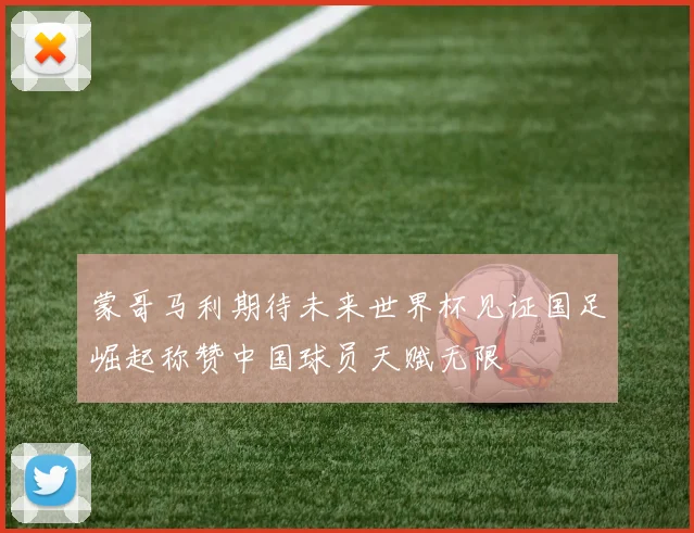 蒙哥马利期待未来世界杯见证国足崛起称赞中国球员天赋无限